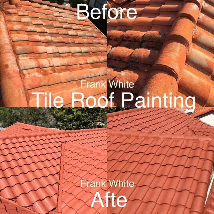 TILE ROOF PAINTING
